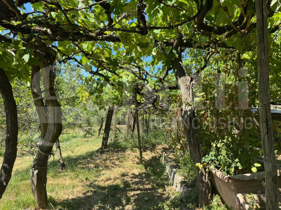 Casa Indipendente - Image 5