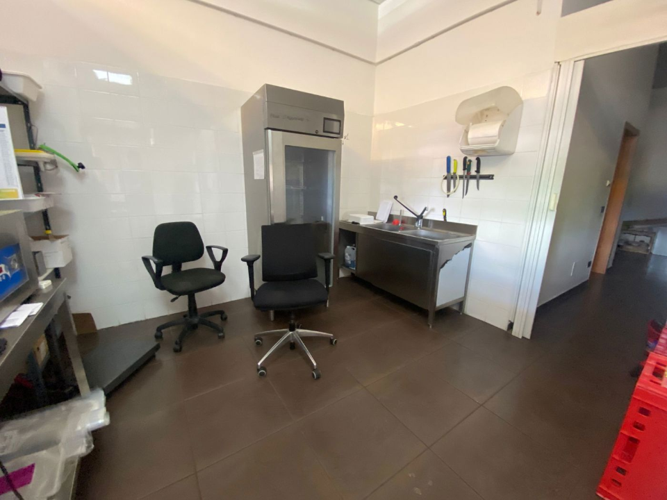 Attività - Image 11