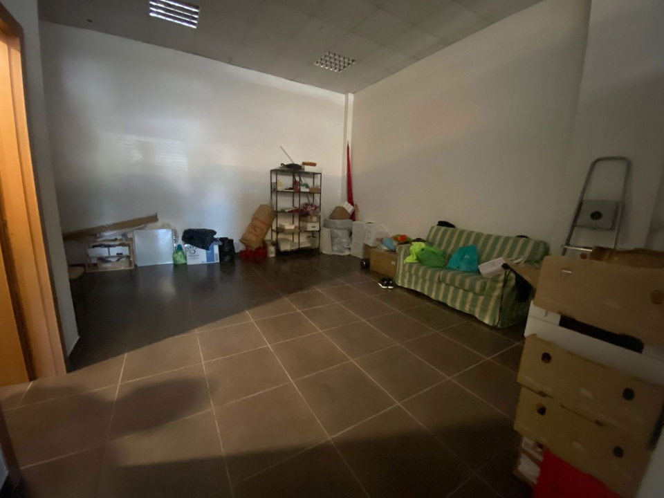 Attività - Image 14