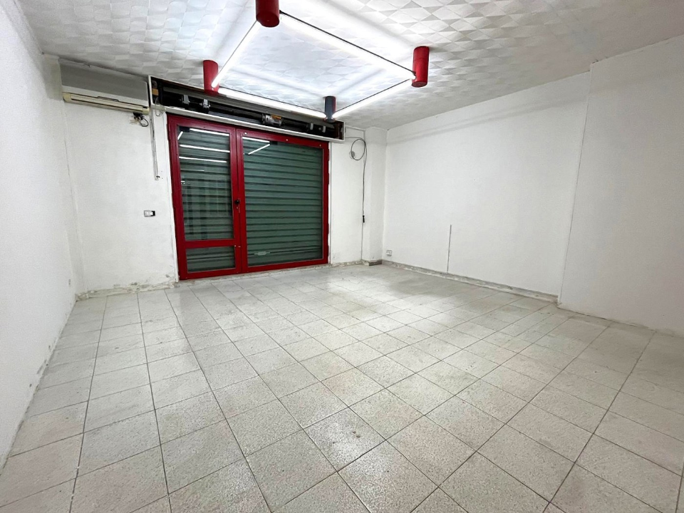 Attività - Image 10