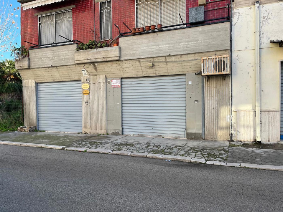 Attività - Image 13