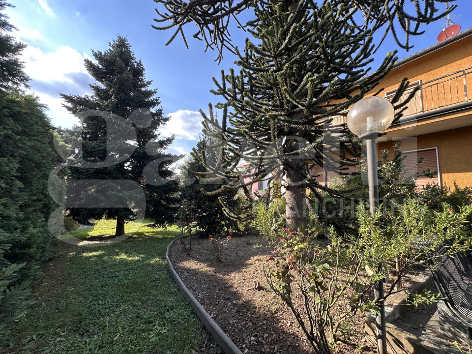 Capannone - Image 37