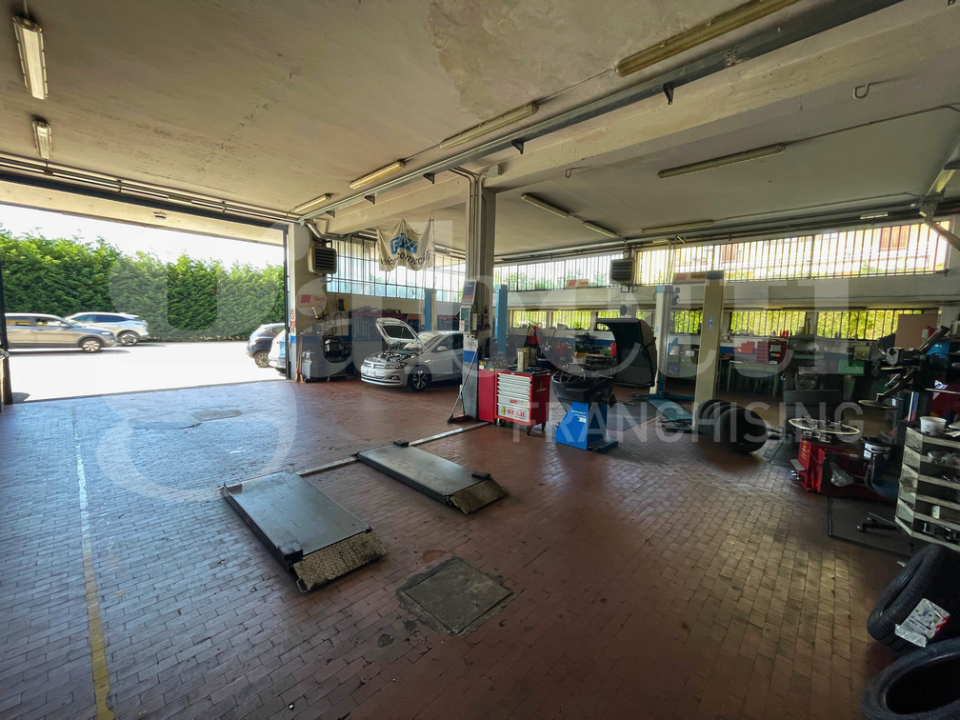 Laboratorio - Image 6