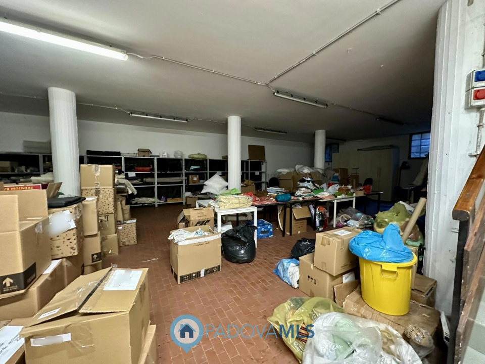 Attività - Image 11