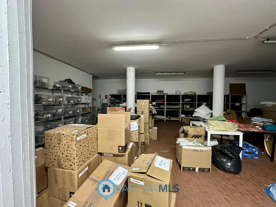 Attività - Image 12