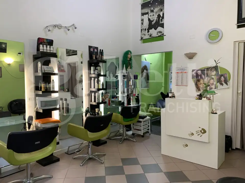 Attività - Image 13