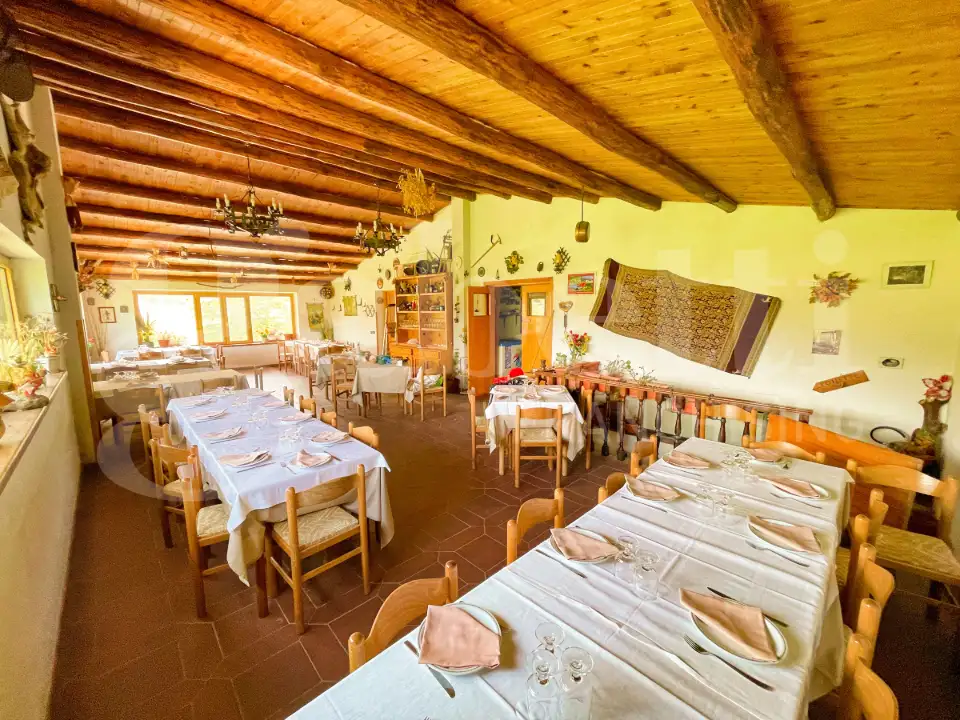 Attività - Image 10