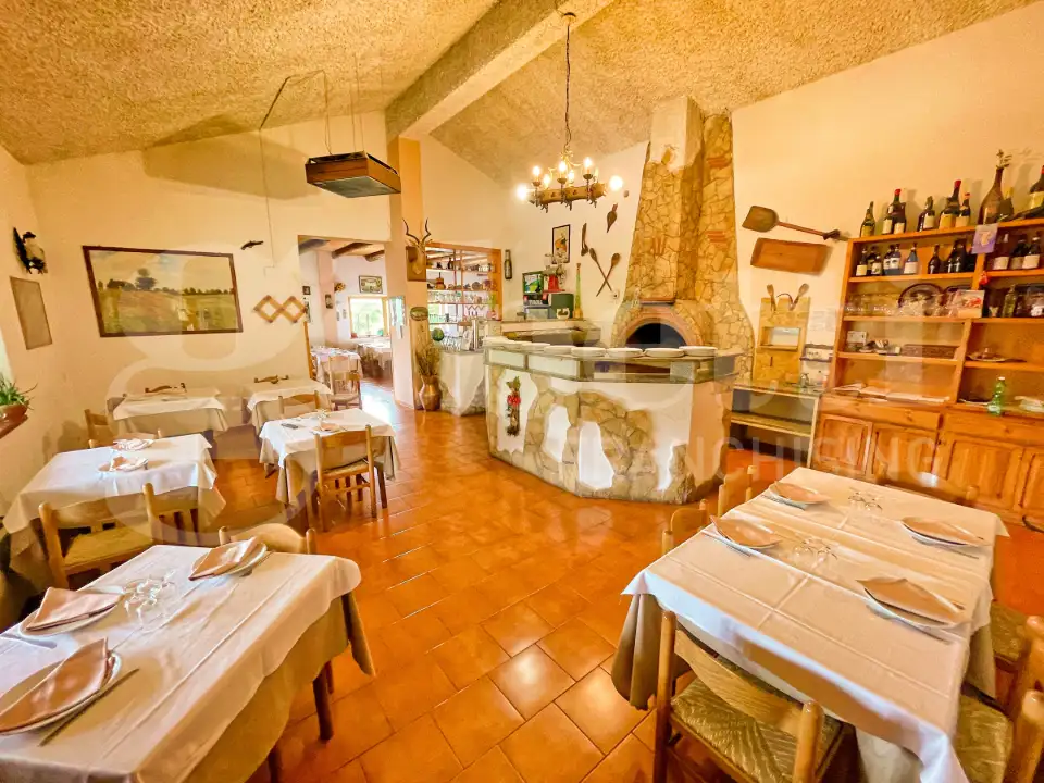 Attività - Image 15