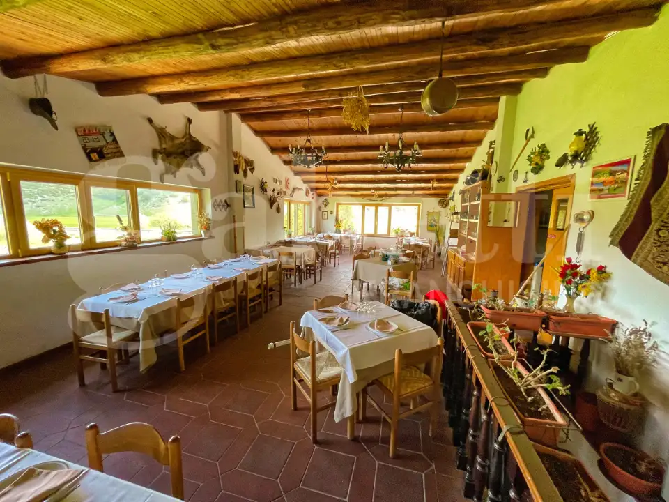 Attività - Image 19