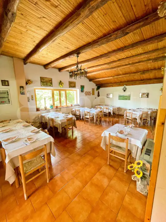 Attività - Image 11