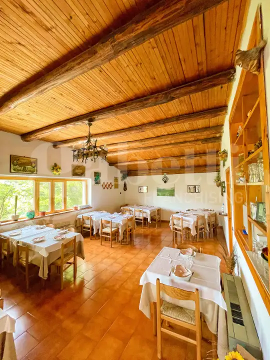 Attività - Image 16