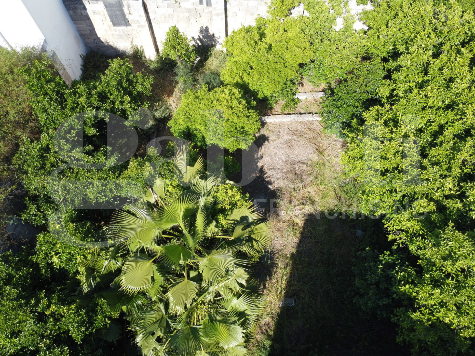 Palazzina - Image 8