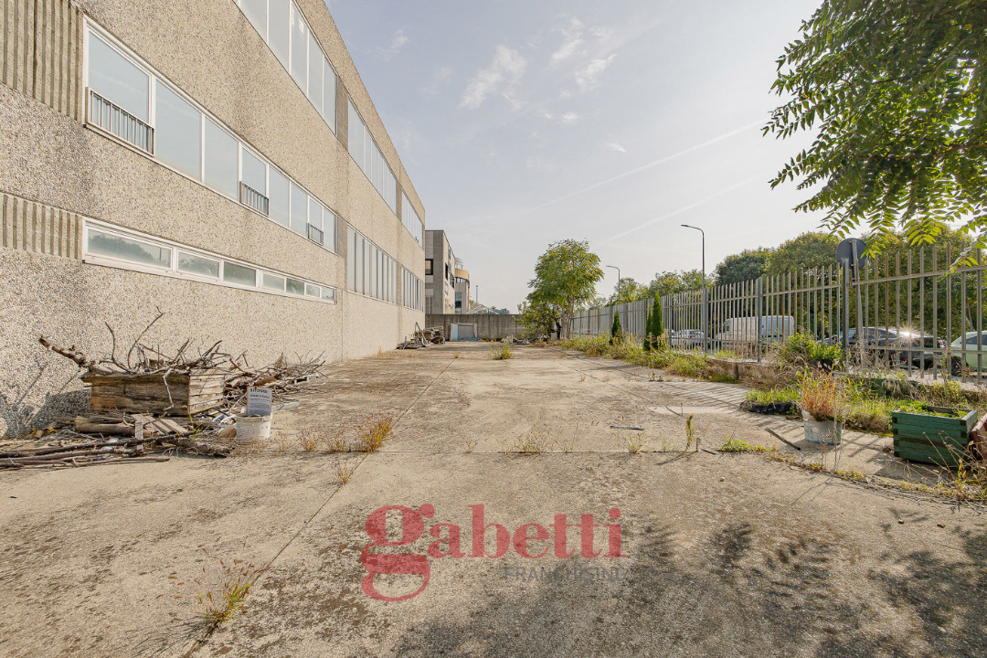 Capannone - Image 14