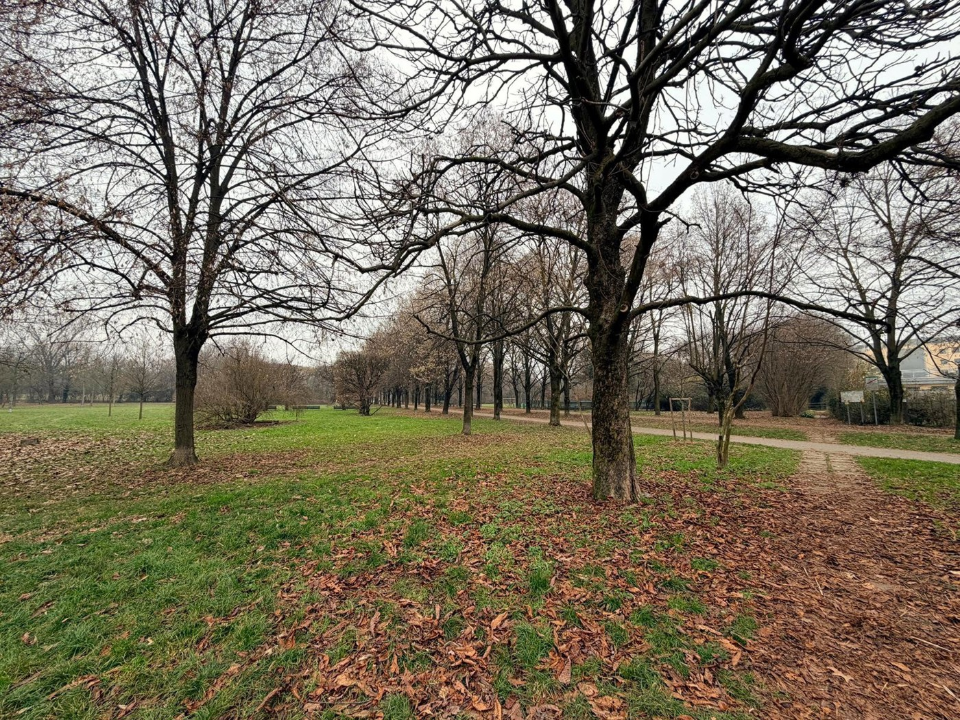 Appartamento - Image 34