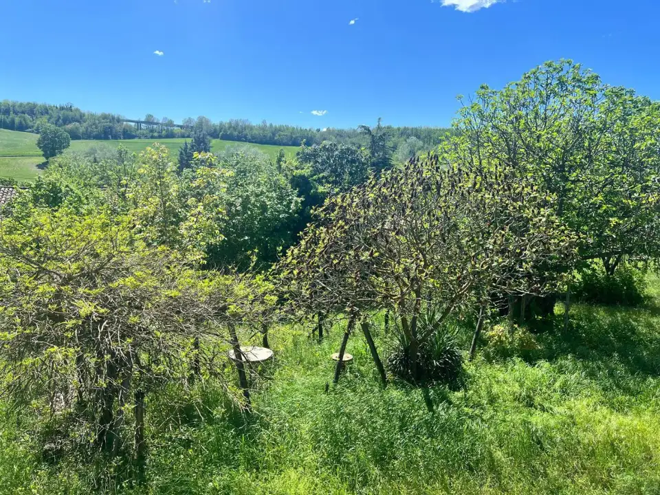 Casa Indipendente - Image 12