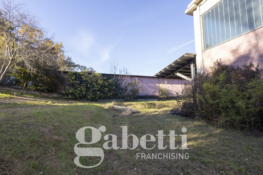 Capannone - Image 49