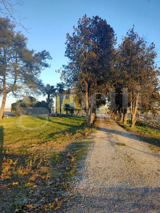 Casa Indipendente - Image 7