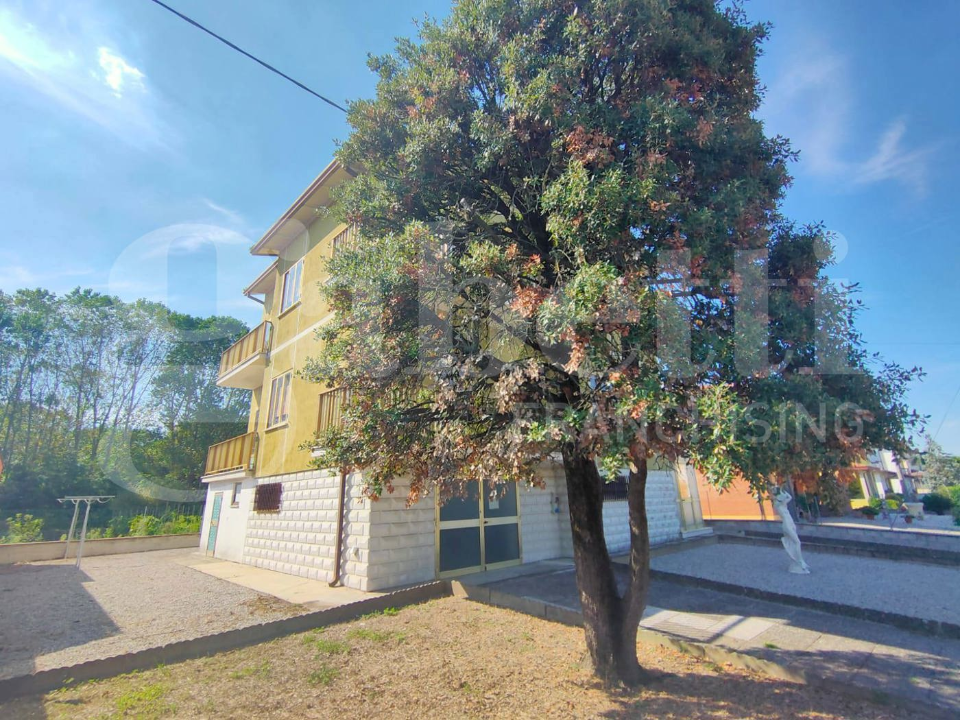 Complesso - Image 11