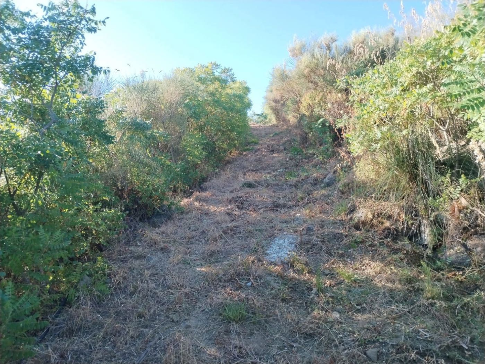 Casa Indipendente - Image 14