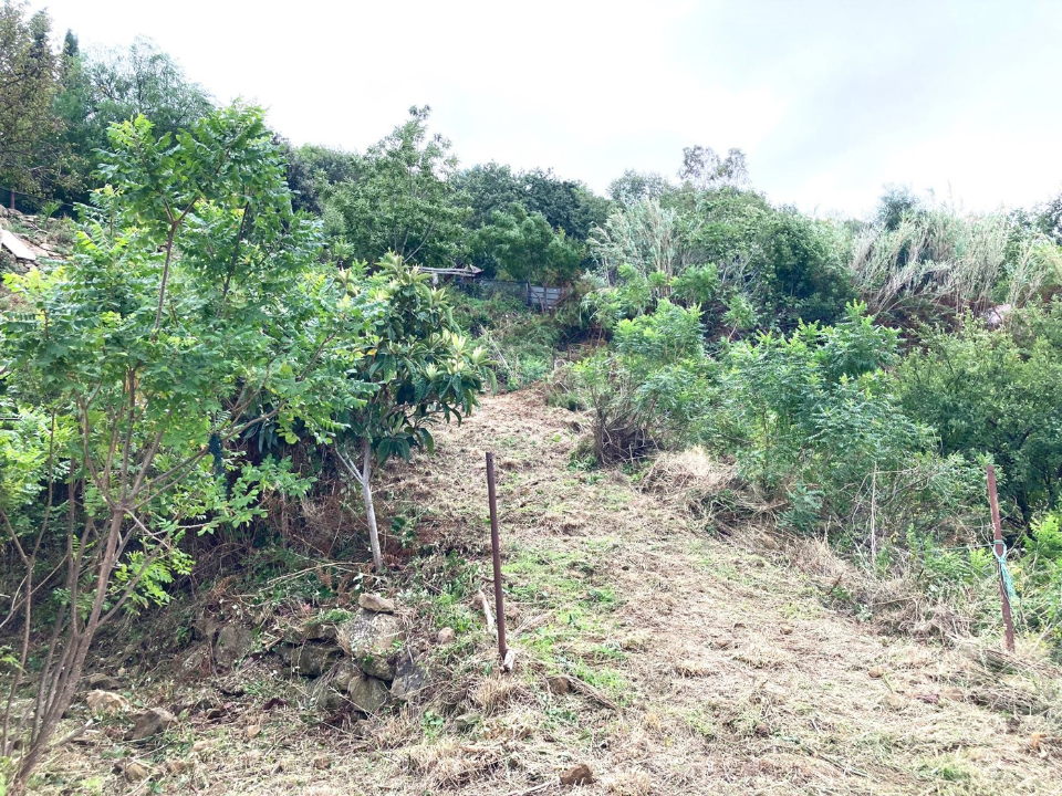 Casa Indipendente - Image 5