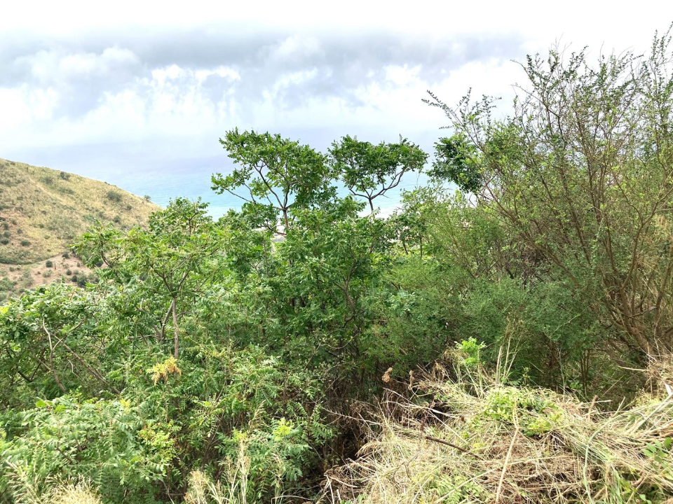 Casa Indipendente - Image 7