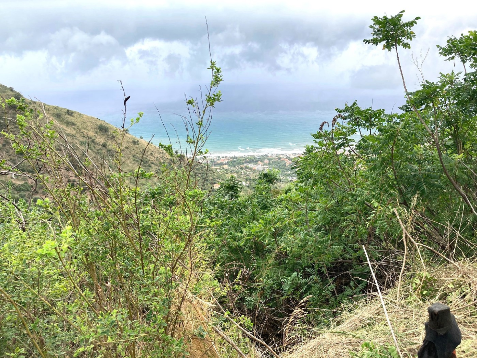 Casa Indipendente - Image 2