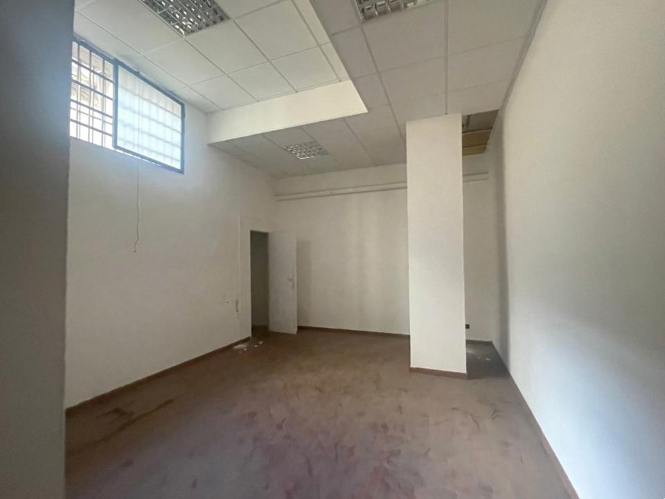 Magazzino - Image 12