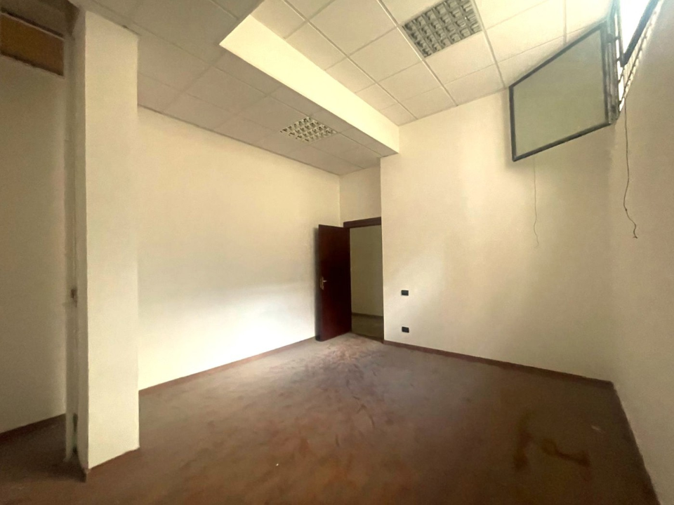 Magazzino - Image 13