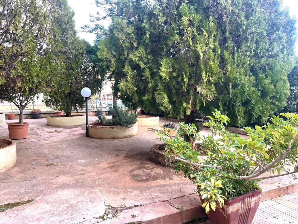 Appartamento - Image 5