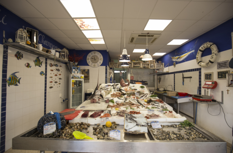 Attività - Image 22