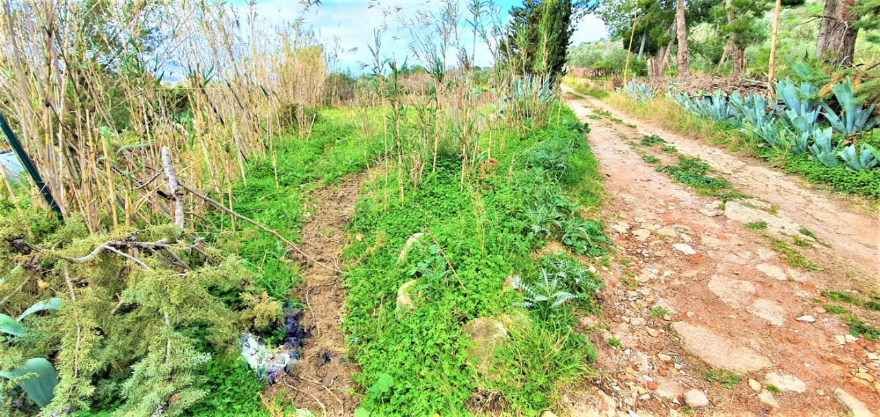 Casa Indipendente - Image 6