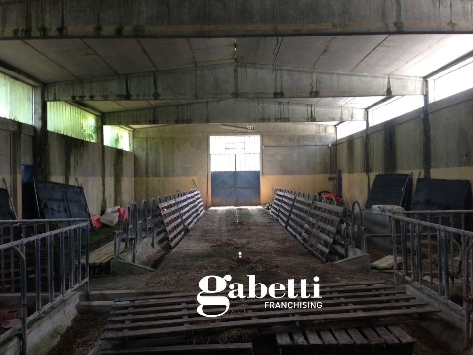 Casa Indipendente - Image 11