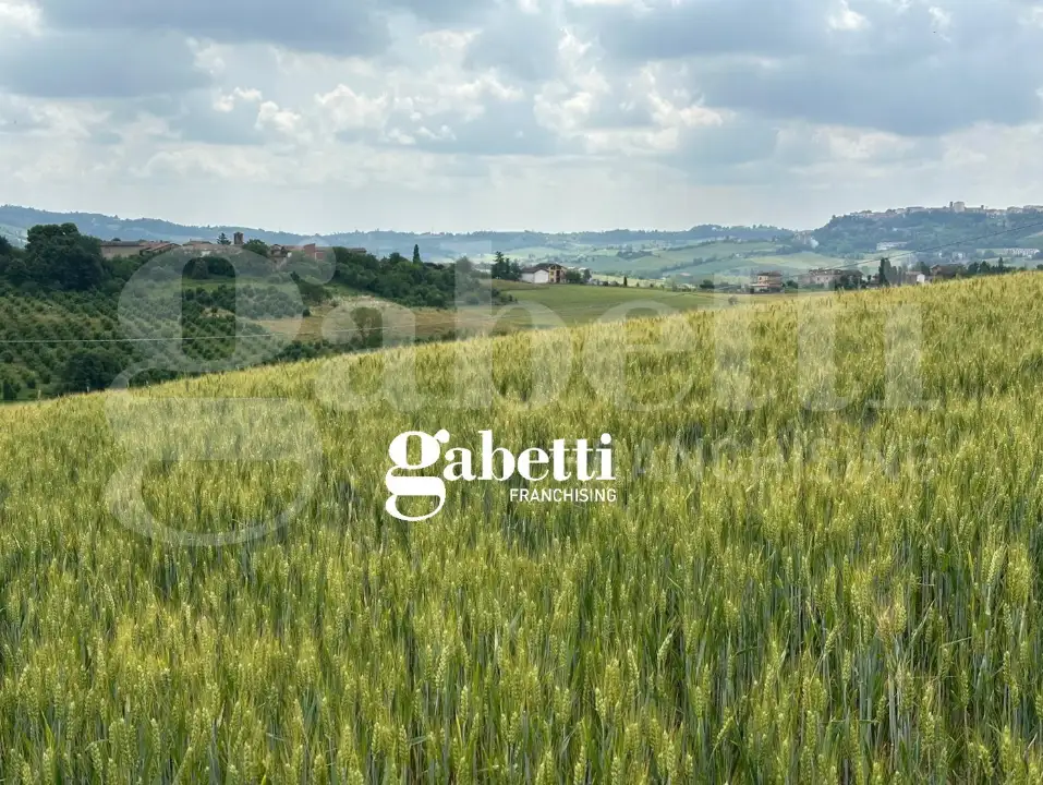 Casa Indipendente - Image 2