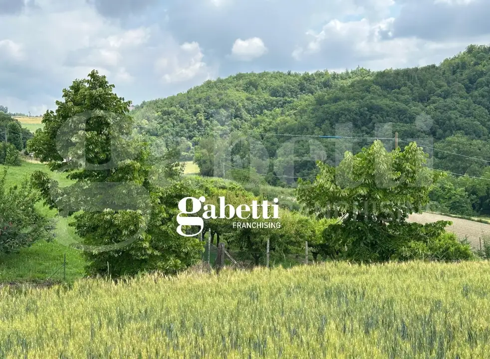 Casa Indipendente - Image 14