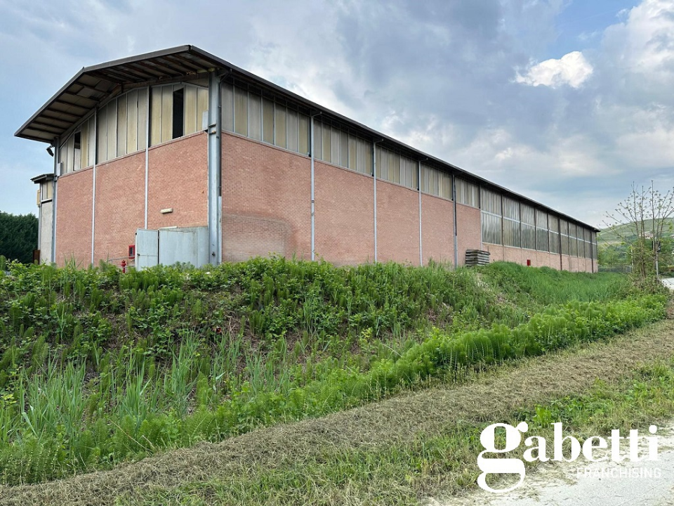 Capannone - Image 6