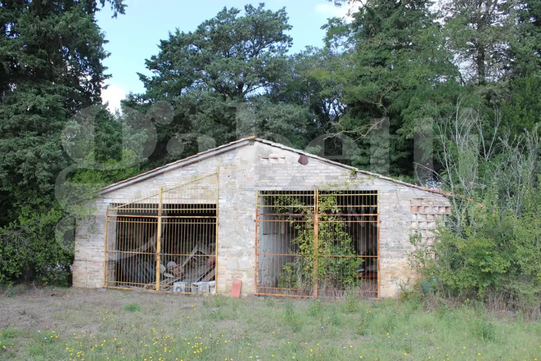 Casa Indipendente - Image 12