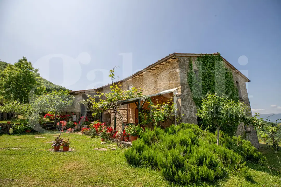 Casa Indipendente - Image 4