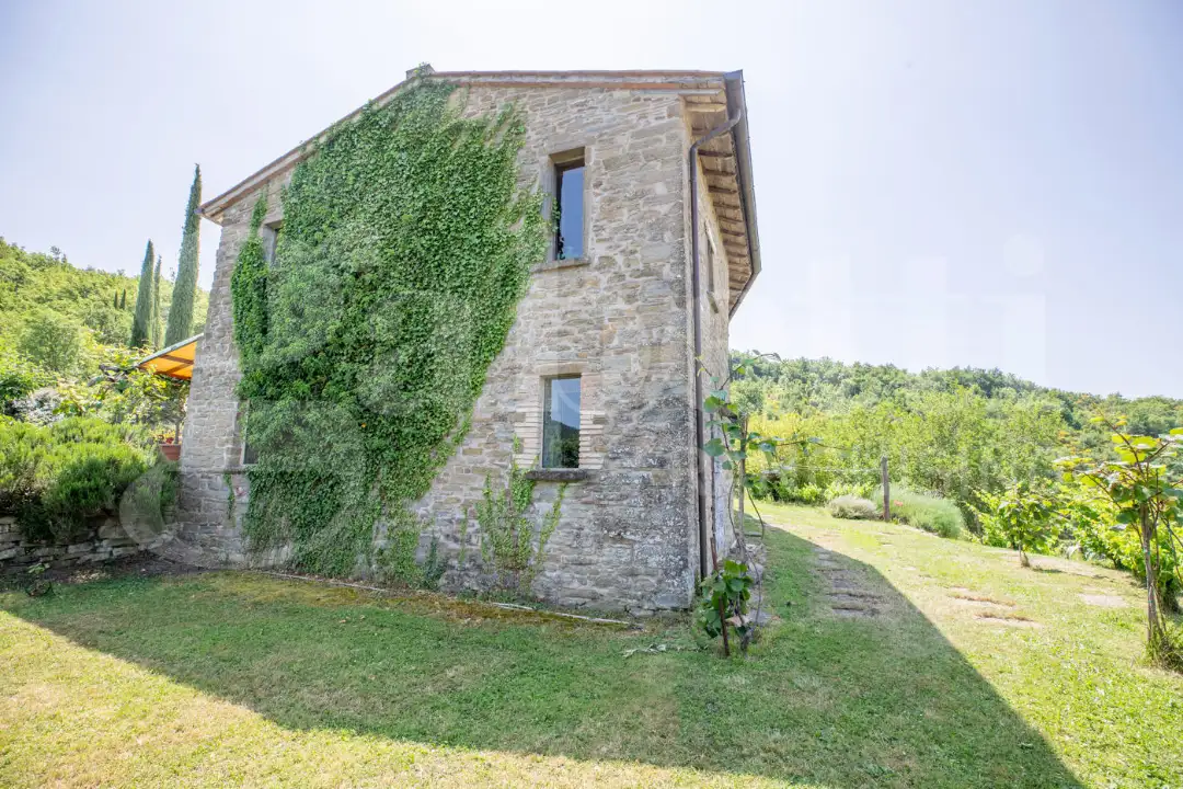 Casa Indipendente - Image 6