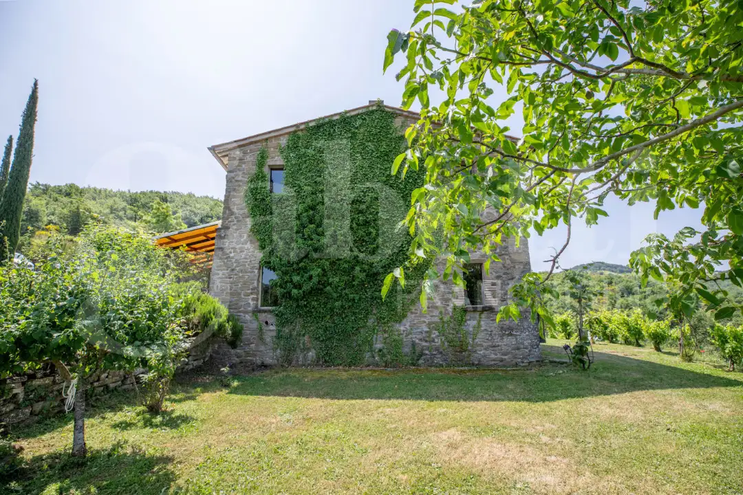 Casa Indipendente - Image 7