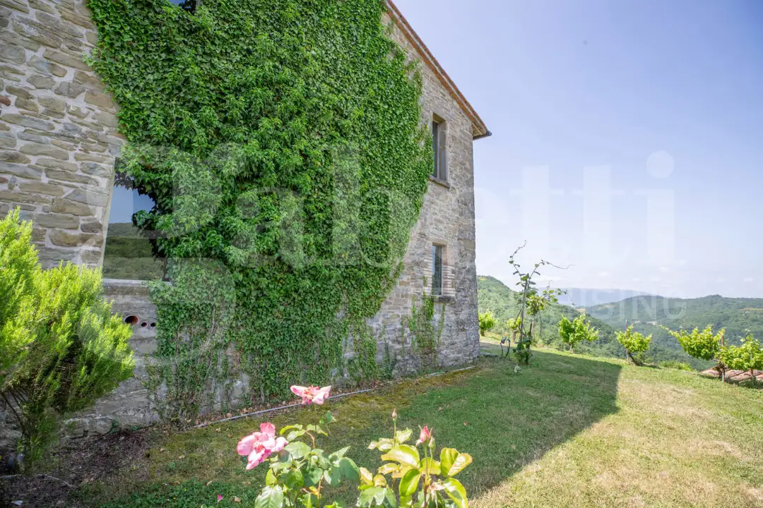 Casa Indipendente - Image 5