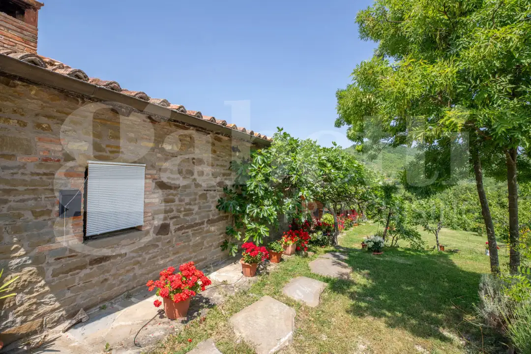 Casa Indipendente - Image 11