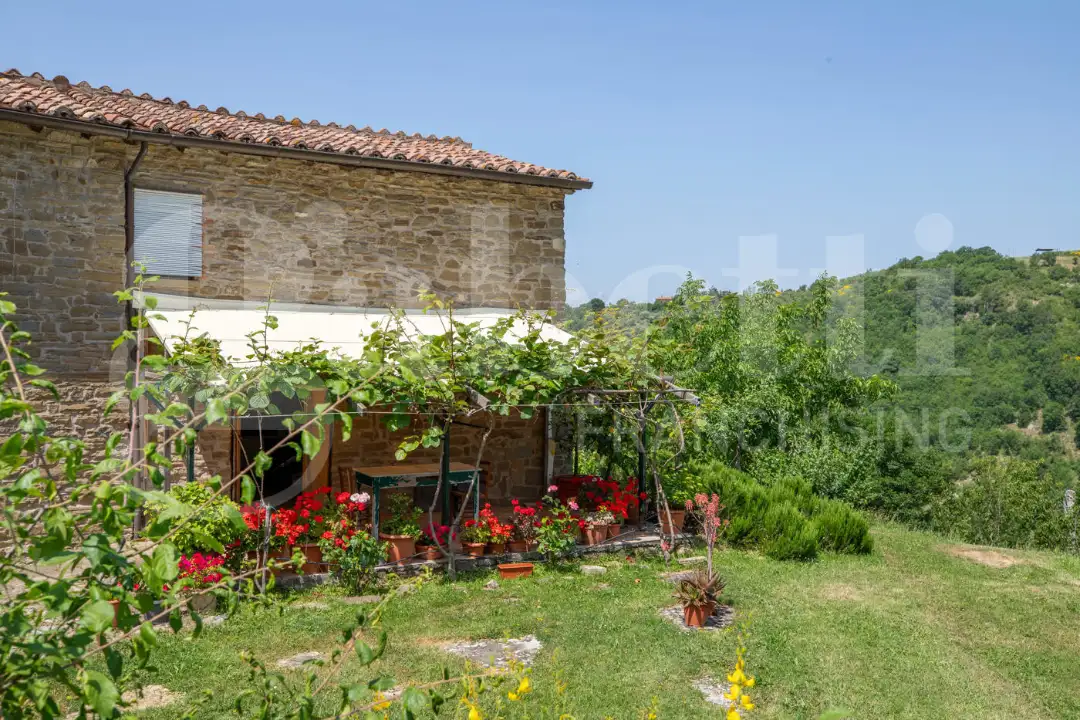 Casa Indipendente - Image 3