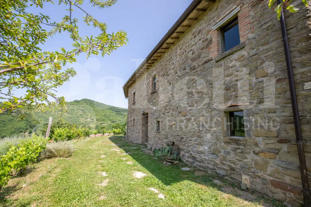 Casa Indipendente - Image 9