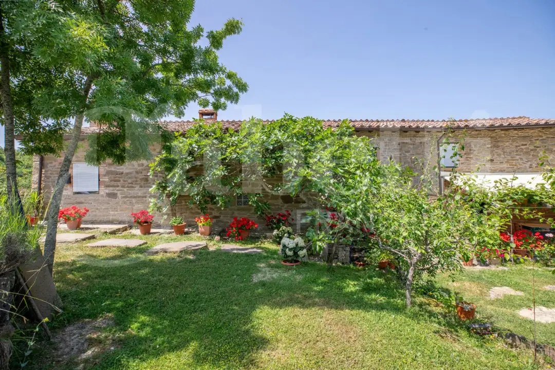 Casa Indipendente - Image 12