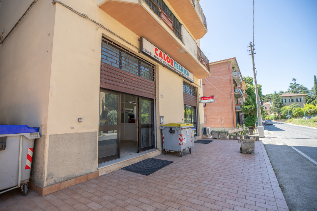 Negozio - Image 3