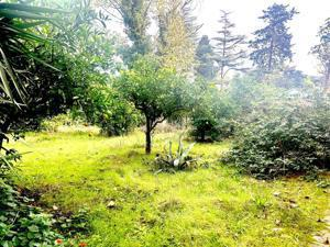 Appartamento - Image 6