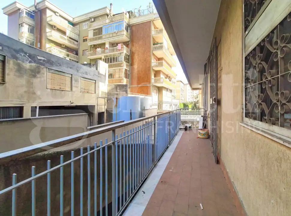 Laboratorio - Image 15