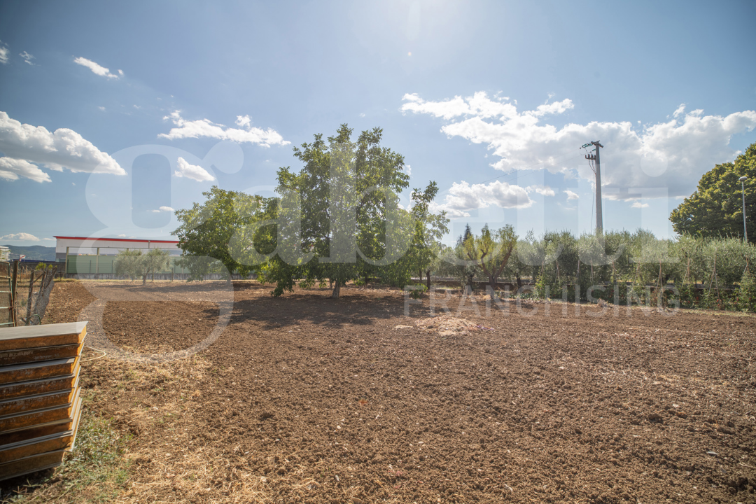 Casa Indipendente - Image 36