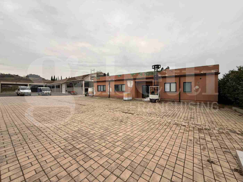Capannone - Image 4