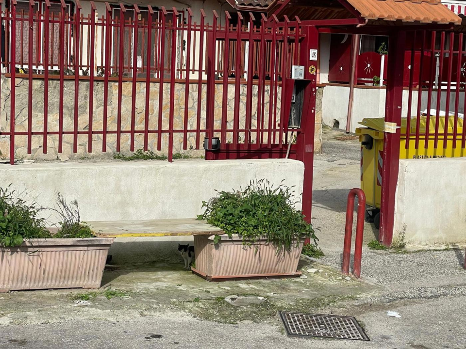 Appartamento - Image 22